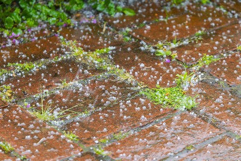 Storm over Bannewitz Hailstones on brick pavement, Bannewitz, Saxony, Germany