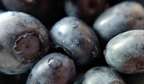Close-up macro shot of fresh blueberries with visible texture and water droplets