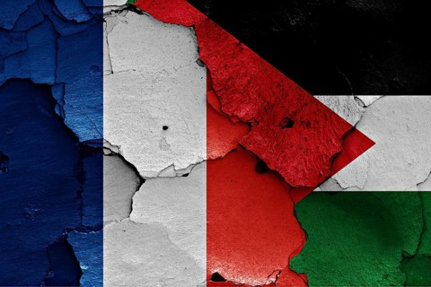 Flags of France and Palestine painted on cracked wall
