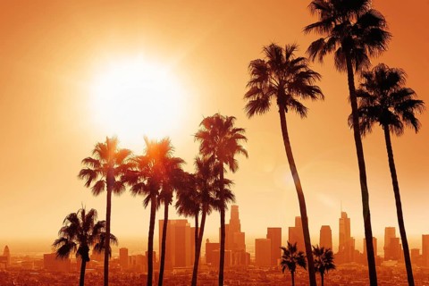 the skyline of los angeles with palm trees during sunrise