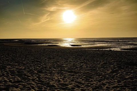 Golden sunset creates a warm atmosphere on a sandy beach, North Sea beach 27476