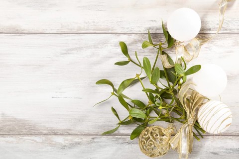Branch of Mistletoe with ribbon and christmas balls on wooden background with copyspace. Christmas