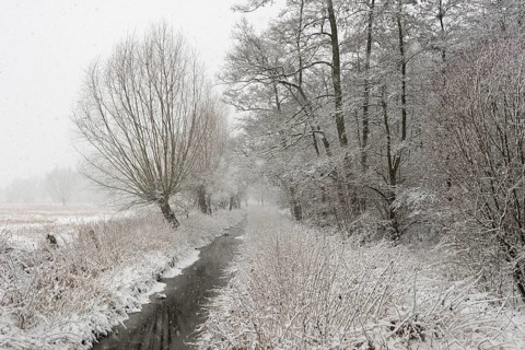 Along the Strempe... Strümper Bruch (Meerbusch), surprising onset of winter with heavy snowfall in