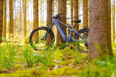 An e-bike stands on soft mossy ground in the dense, peaceful forest, e-bike excursion, Gechingen,