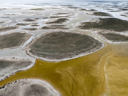 Aerial view of salt lakes and desert vegetation in a desolate landscape, aerial view, salt lake,