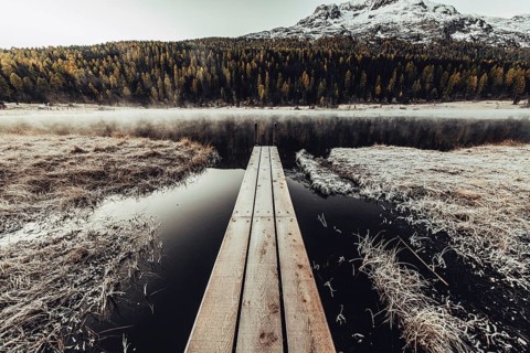 Lake Staz near Sankt Moritz in the Engadin in Switzerland. Morning atmosphere with fog in autumn.
