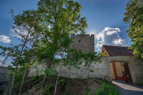 Burgnauer with watchtower of Lengenfeld Castle, dating from the 12th century, Burglengenfeld, Upper