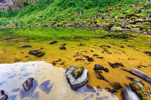 Lake Botnstjörn, Asbyrgi Gorge, Jökulsargljufur National Park, Iceland