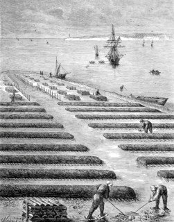 Oyster beds, oyster farming in the bay of Nouvelle-Aquitaine, Nouvelle-Aquitaine region, France,