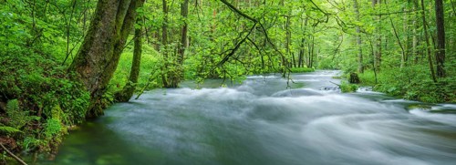White water and rapids on the Trieb stream in the Triebtal nature reserve in Vogtland, Plauen,