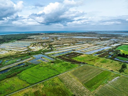 The Lilleau des Niges National Nature Reserve from a drone, The salt marshes,