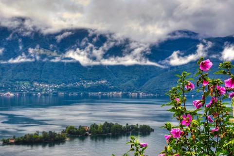 Alpine Lake Maggiore with Brissago Island and Mountain with Rainy Clouds and Beautiful Flowers in