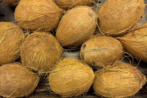 Coconuts in retail on the marketplace, international