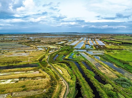 The Lilleau des Niges National Nature Reserve from a drone, The salt marshes,