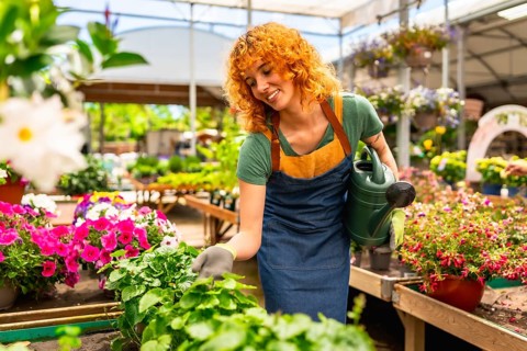 Redhead young woman working in a greenhouse nursery, watering plants and taking care of colorful