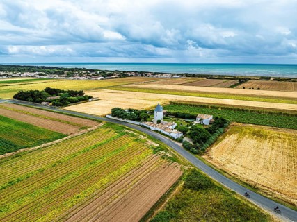 Fields and Grape plantations from a drone, Saint-Clement-des-Baleines, Atlantic, France