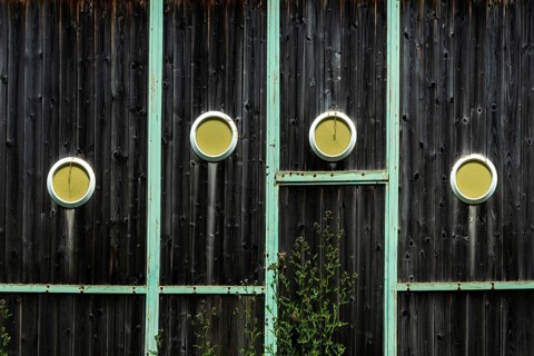 Wooden wall with dark finish showcases four circular cutouts revealing bright yellow interiors,