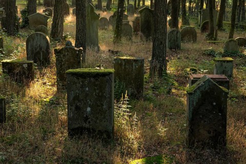 Weathered gravestones at the Jewish cemetery next to the Mehlinger Heide. Mehlingen,