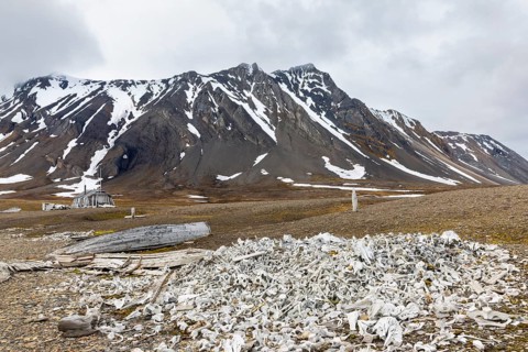 Broken wooden boat in front of hunting hut, wooden hut, bones of white whale (Delphinapterus