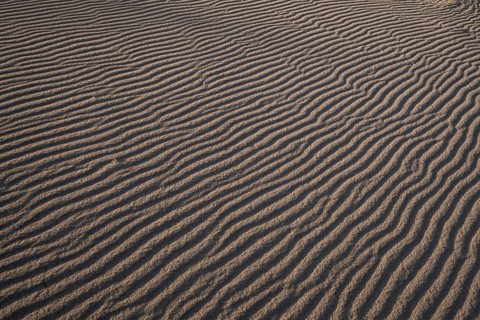 Wave-like wind-formed sand structures in close-up, Hvide Sande, North Sea, Denmark