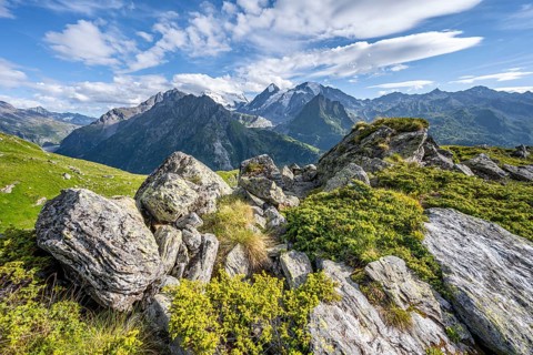 View from the Cabane du Louvie of the glaciated mountain peaks of the Grand Combine, Valais Alps,