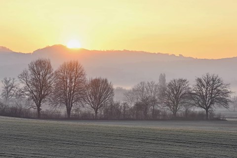 Meadows and trees in the early morning mist in the light of the rising sun, Reusstal, Aristau,