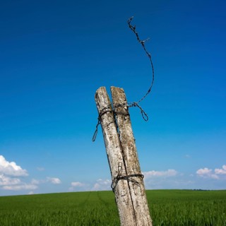 Two weathered wooden posts are tied together with twisted wire, standing tall against a vivid blue