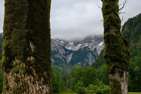 A view of the majestic Kamnik-Savinja Alps in Zgornje Jezersko, Slovenia, opens up through two