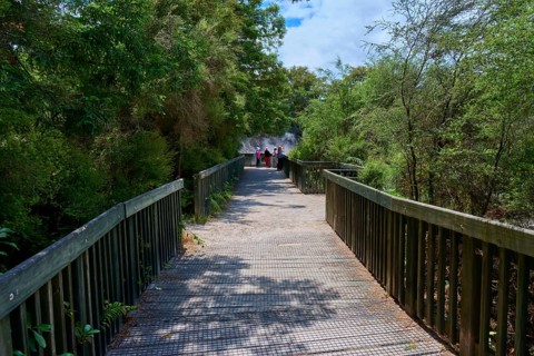 A wooden walkway leads through a green forest, several people are visible in the distance,