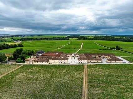 Chateau Pontet-Canet Vineyard and grape fields around Pauillac and Gironde Estuary from a drone,