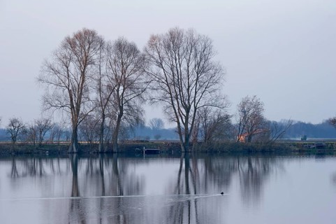 Evening mood at Moosinninger Weiher, quarry pond, fishing pond for carp, reflection of the trees on