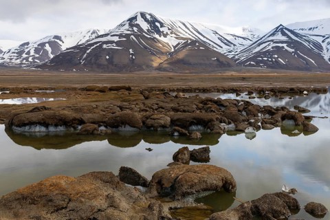 Permafrost, ice below the surface, Aventdalen, Longyearbyen, Spitsbergen, Svalbard