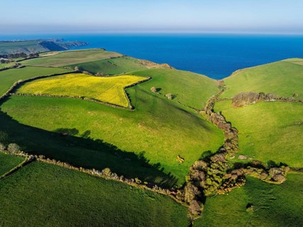Farms and Fields over Brixham and Kingswear from a drone, Devon, England, United Kingdom