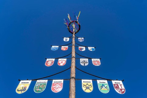 Guild tree, guild tree, guild sign, coat of arms of the various trades, in the Hochsauerlandkreis,