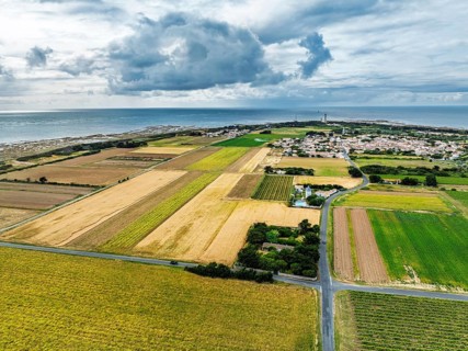 Fields and Grape plantations from a drone, Saint-Clement-des-Baleines, Atlantic, France