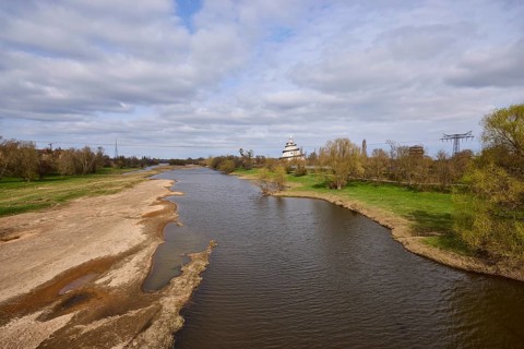 Old Elbe, oxbow, millennium tower Magdeburg, river, river bank, trees, meadow, blue sky, cumulus