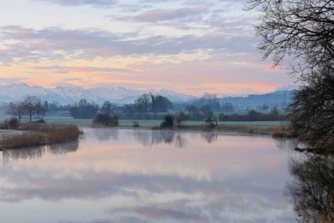 Nature reserve Stille Reuss, behind the Alps, Rottenschwil, Reusstal, Freiamt, Canton Aargau,