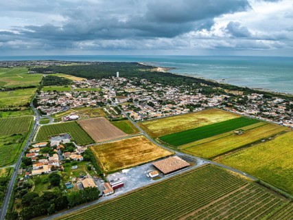 Fields and Grape plantations from a drone, Saint-Clement-des-Baleines, Atlantic, France