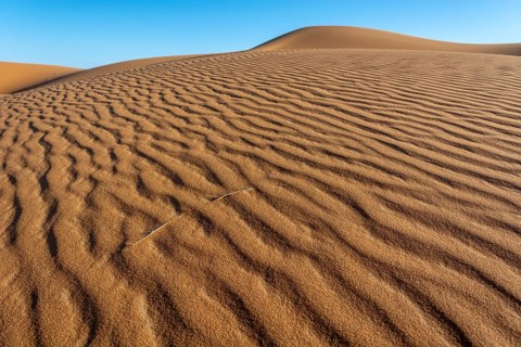 A sandy desert with a blue sky in the background. The sand is ribbed and has a slight slope.