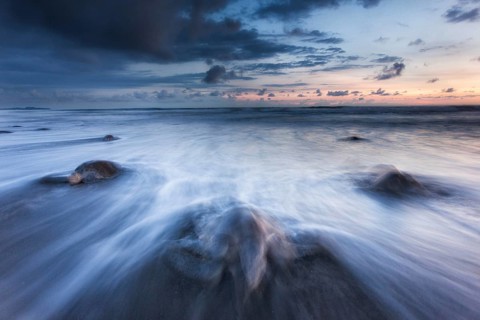 Olive Ridley sea turtles (Lepidochelys olivacea) return to the Costa Rican beaches where they
