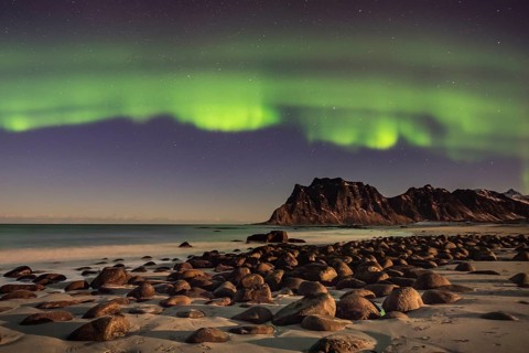 Aurora borealis in green colors over mountain range and coastline at night, Lofoten, Norway