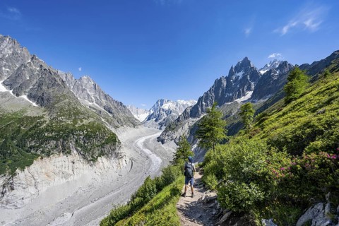 Picturesque mountain landscape with blooming alpine roses, imposing mountain peaks and glaciers,