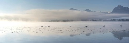 Sunrise at Lake Hopfensee near Füssen, with the Tegelberg massif and the Säuling behind it,