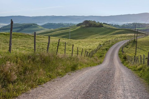 A winding country lane leads through rolling green hills with fences, while the morning mist