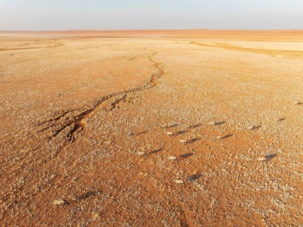 Gemsbok (Oryx gazella). Roaming an arid plain at the edge of the Namib Desert. Aerial view. Drone