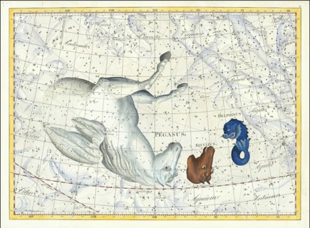 Zodiac sign, constellation, Pegasus, dolphin, star chart, universe, astrology, horoscope, after