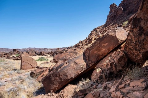 Depictions of animals on a rock slab, petroglyphs, rock engravings, Twyfelfontein, Kunene, Namibia