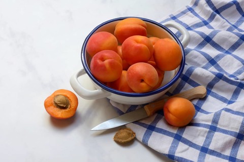Apricot, apricots in shell, Prunus armeniaca