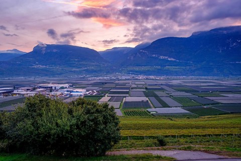 Sunrise over the Adige Valley, near Tramin an der Weinstraße, Unteretsch, South Tyrol, Italy