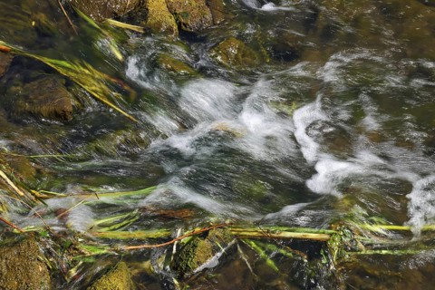Bottrop, North Rhine-Westphalia, Germany - Renaturalised Boye, the tributary of the Emscher, has
